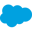 Salesforce Icon
