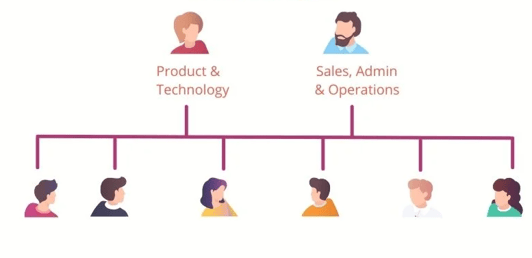 SaaS flat organizational structure